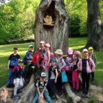 phoca_thumb_m_zajci obora 52  kopie Fotogalerie